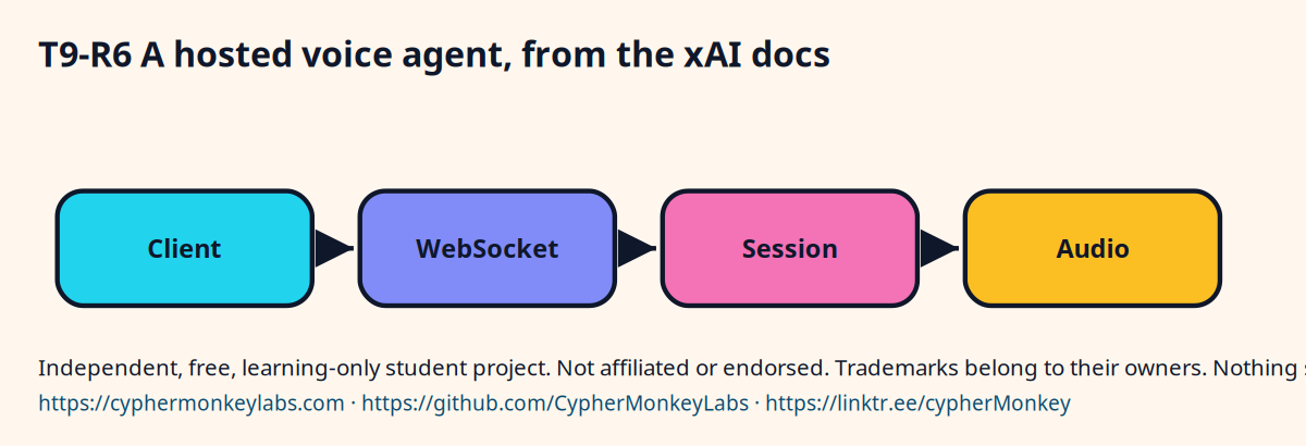 T9-R6 A hosted voice agent, from the xAI docs